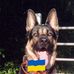 Markus Huth - Facebook