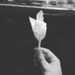 Марк - @mark_ilichev - Instagram