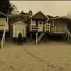 markdimes - @markdimes - TikTok