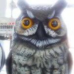 @mark.ingle - Instagram