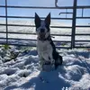 mark irving - @mark.irving - TikTok