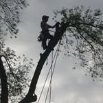 Mark Isabell - @treehopper1313 - Instagram