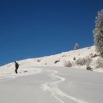 Mark Ison - @ison4301 - Instagram
