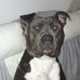 Mark Azzie - Facebook