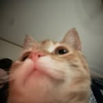 markius - @markiusiskool - Instagram
