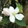 marciwanski - @marciwanski - TikTok