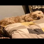 Mark Jackman - @smilingboy74 - Instagram