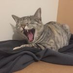 Mark Jackman - @mark.jackman26 - Instagram