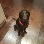 mark Jackman - @jackman2604 - Instagram