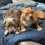 Mark Jacobs - @_markjacobs - Instagram