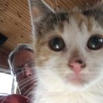 Mark Jamison - @markjamison3354 - Instagram