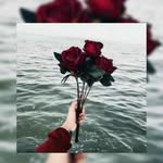 mussu _ mark  _ jann - @mark_jann_lover__ - Instagram