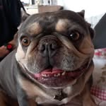 Mark Janowski - @mark1974109 - Instagram