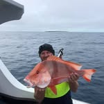 Mark Jaques - @chel_and_mark - Instagram