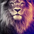 Mark Jaques - Facebook