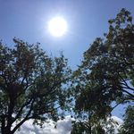 Mark Jarratt - @shiz1960 - Instagram