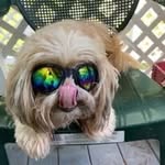 Mark Jarratt - @markjarratt.1217 - Instagram
