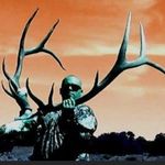 Mark Jarrett - @mark_jarrettoutdoors - Instagram