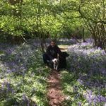 Mark Jarrett - @markrjarrett - Instagram