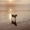 markusjasinski1 - @markusjasinski1 - TikTok