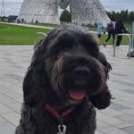 Mark Jefferies - @mark.jefferies.35 - Instagram