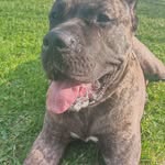 Mark Jenkinson - @mark.jenkinson.169 - Instagram