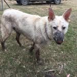 Mark Jenkinson - @greymark58 - Instagram
