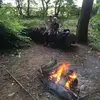 Mark Jenkinson - @markjenkinson - TikTok
