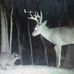 Mark Jobe - Facebook