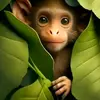 Mark Jobe - @mark.jobe - TikTok