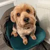 Mark Johns - @mark.johns5 - TikTok