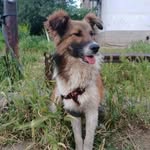 @mark_jostkiy0411 - Instagram