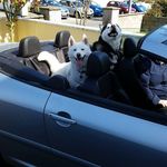 Mark Joyce - @mark.joyce47 - Instagram
