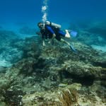 Mark Jozwiak - @jozwiak_mark - Instagram