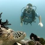 Mark Kane - @the.kane.train - Instagram