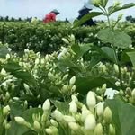 Mark Karlsen - @karlsen_mark - Instagram