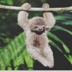 Mark Karr - @marky_mark647 - Instagram