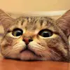 mark kay - @mark.kay46 - TikTok