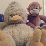 mark keane - @mark_kea - Instagram