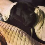 Mark Keane - @mark.keane99 - Instagram