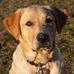 Mark Kelm - Facebook