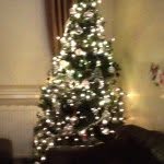 Mark Kelman - @markkelman10 - Instagram
