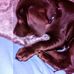 Mark Kempthorne - Facebook
