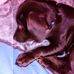 Mark Kempthorne - Facebook