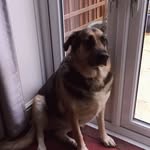 Mark Kent - @mark.kent.14 - Instagram