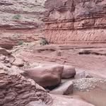 Mark Kerner - @markkerner - Instagram