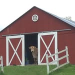 Mark & Kerry’s Farm - @markandkerrysfarm - Instagram