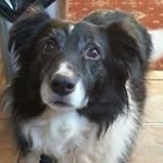 Mark Kerry - @markkerry50 - Instagram