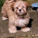 Mark Kerry - @kezzo2023 - Instagram