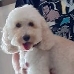 Mark Ketteridge - @markketteridge - Instagram